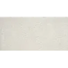 Rapid Blanc